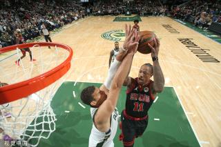 位国乒女单 位国乒女单